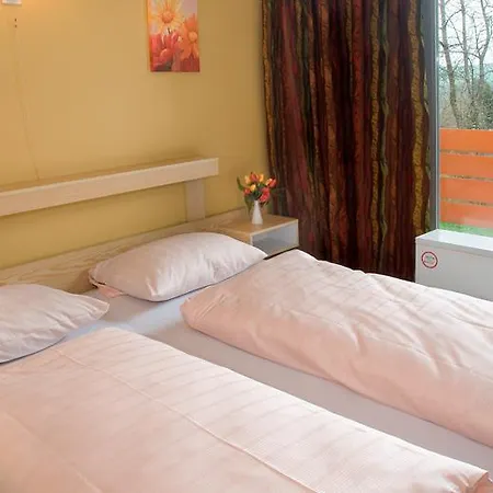 Holiday home Hambachtal Rinzenberg